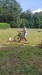 IMG-20250719-WA0058