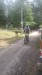 IMG-20250719-WA0061