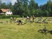 IMG-20250719-WA0103