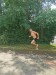 IMG-20250719-WA0112
