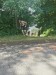 IMG-20250719-WA0120